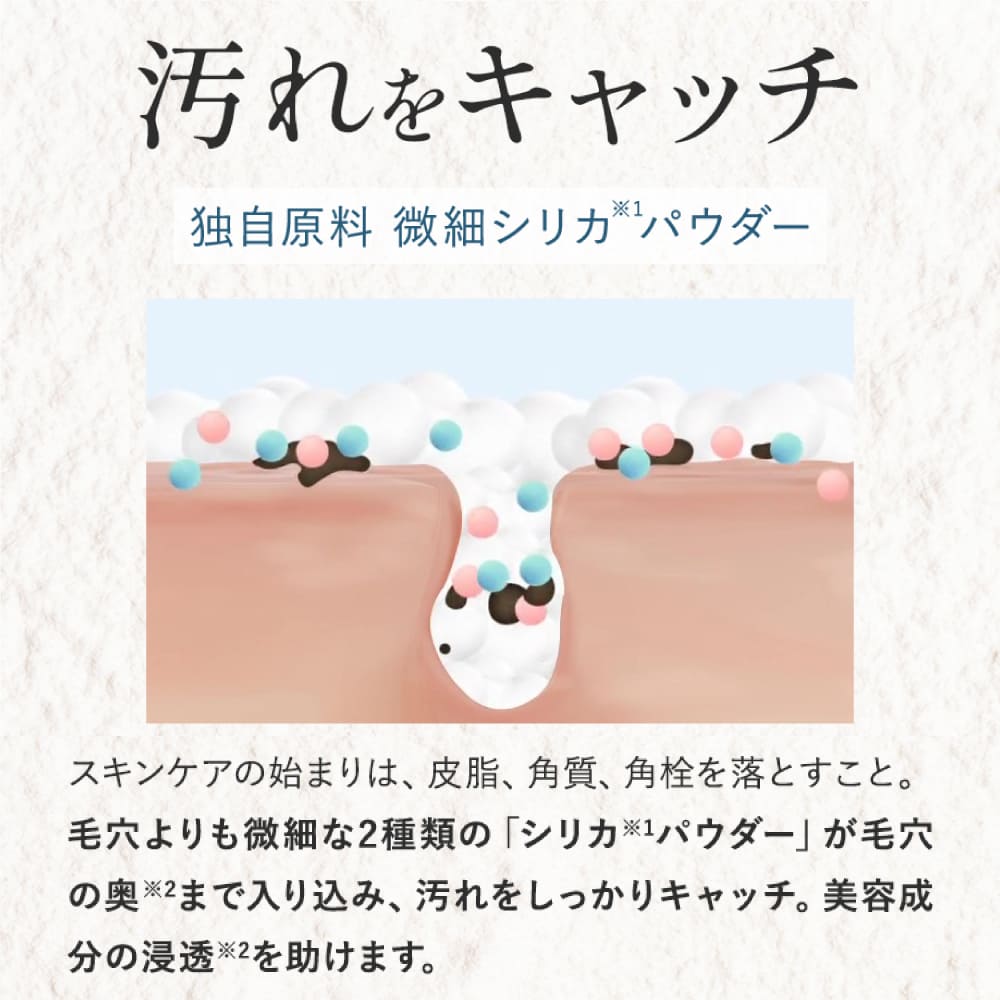 楽天市場】【20%OFF！楽天スーパーSALE】【公式】SHIKARI シカリ