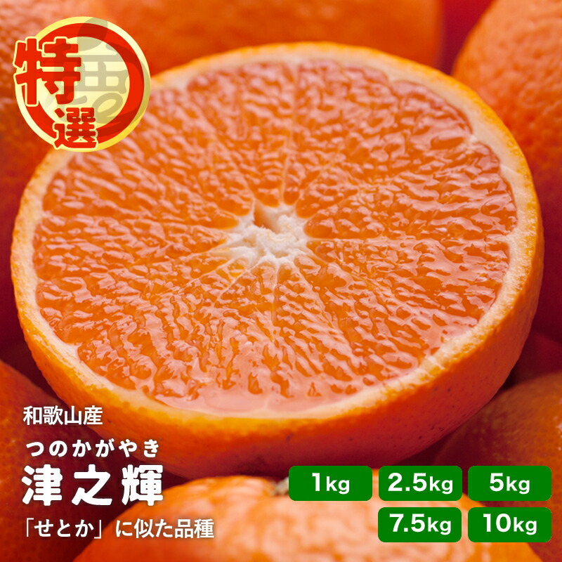 楽天市場】特選 津之輝 送料無料 1kg ～ 10kg サイズ混合 津の輝き