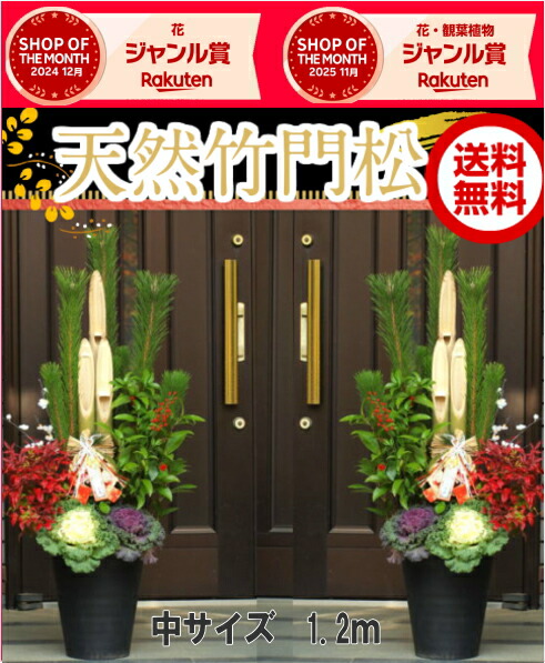 楽天市場】28.29日出荷OK！年内お届可能「楽天ショップ・オブ・ザ