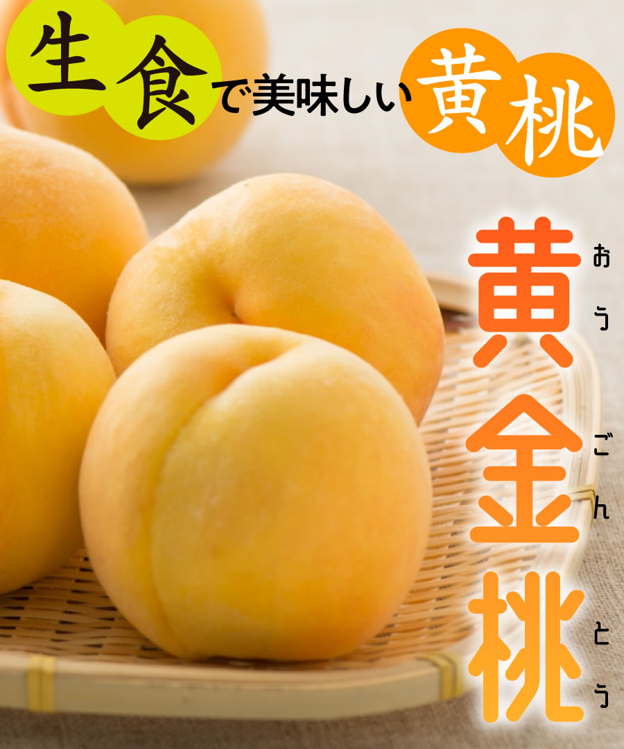 楽天市場】【桃苗木】【2年生苗】黄金桃 高さ70cm〜1.0m : グリーン