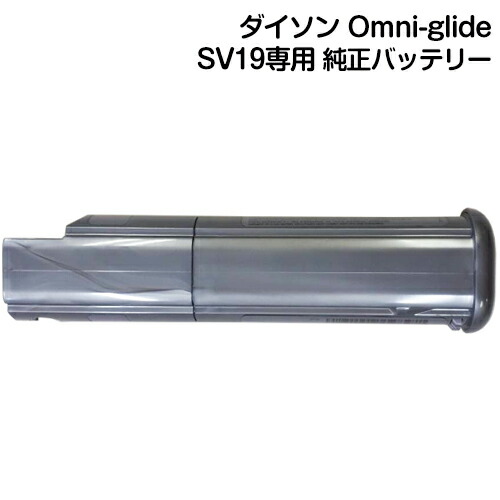 sv19_battery.jpg