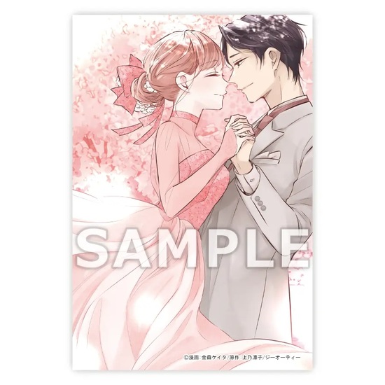 楽天市場】【特典付き】いつわりの愛~契約婚の旦那さまは甘すぎる~ 4