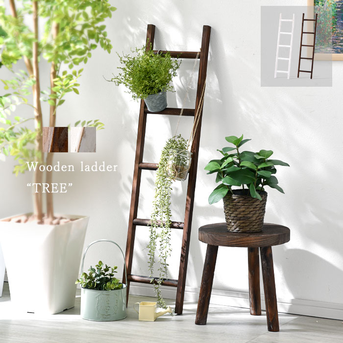 楽天市場】☆8日20時から使える先着3名20％クーポン配布中☆ラダー