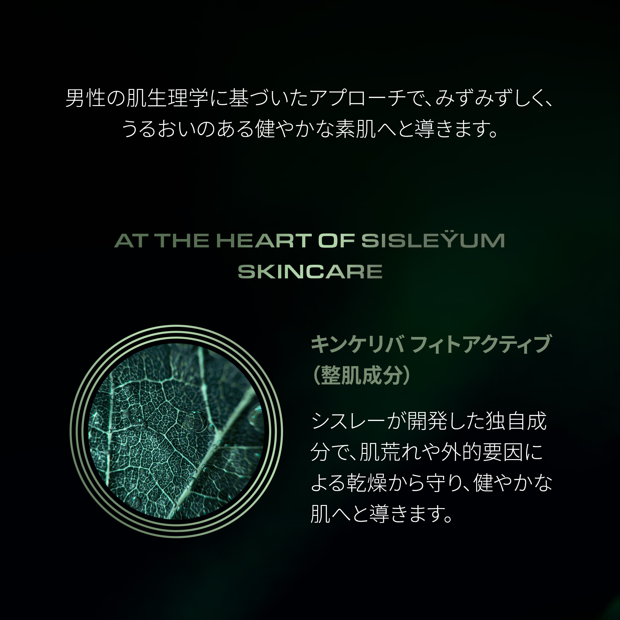 楽天市場】【公式】 シスレー シスレイオム コンフォート クリーム