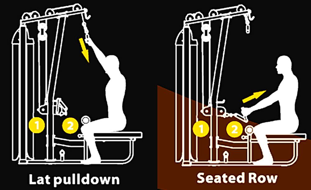 楽天市場】【3月末入荷予定】ラットプルダウン / シーテッドロー （250