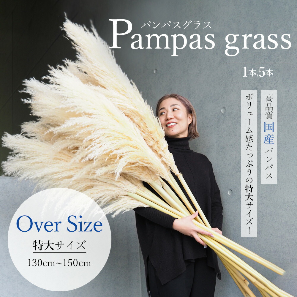 ドライフラワー☆ふわふわパンパス特大フライングボール☆インテリア