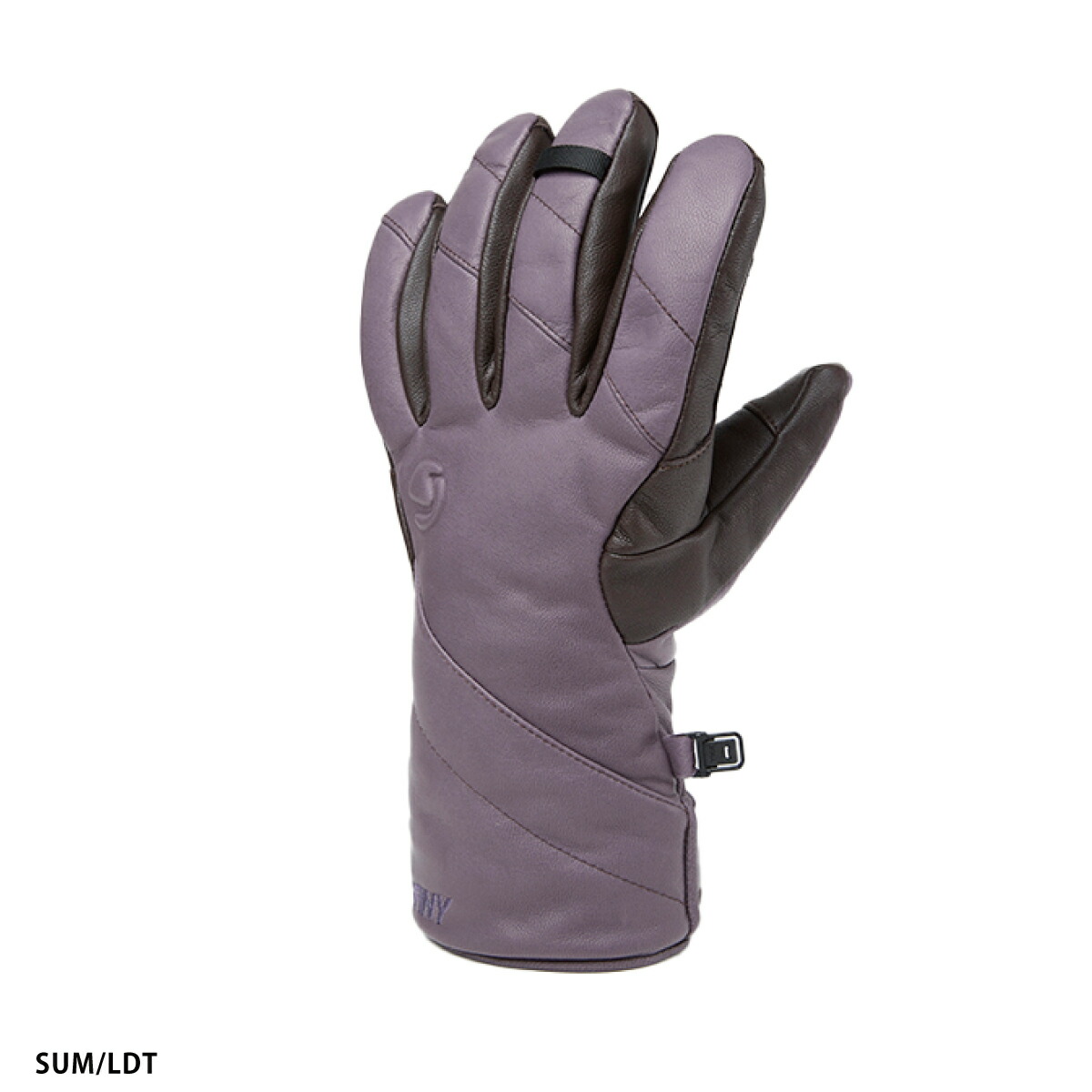 楽天市場】SWANY スワニー スキーグローブ メンズ＜2024＞SX-204