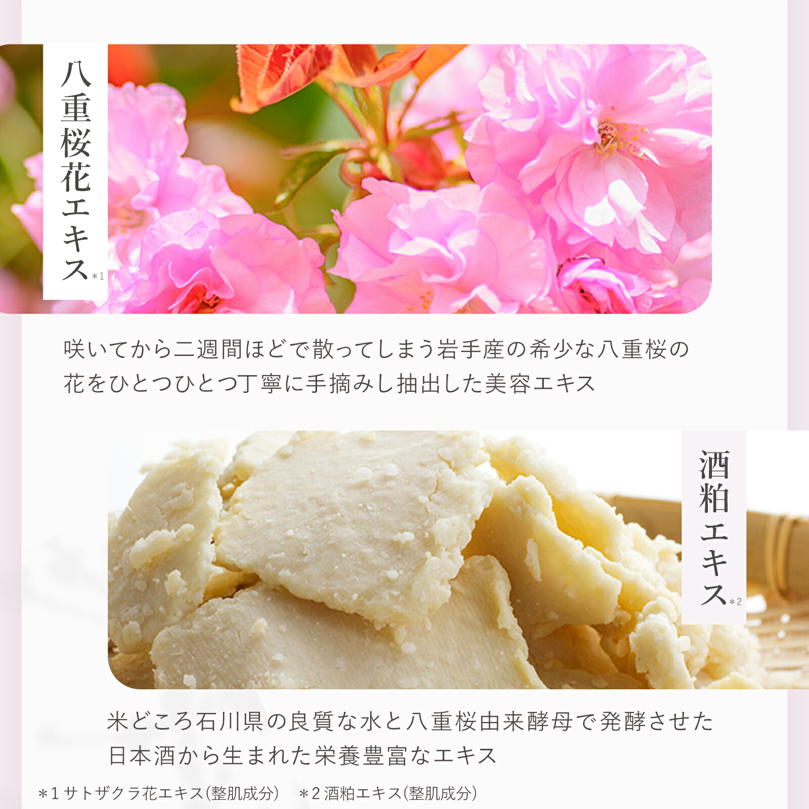 楽天市場】【ポイント10倍 -3/11 9:59】楽天1位20冠 オールインワン