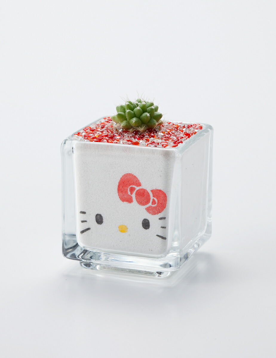楽天市場】【ハローキティサボテン3種】 プレゼント ギフト メッセージ