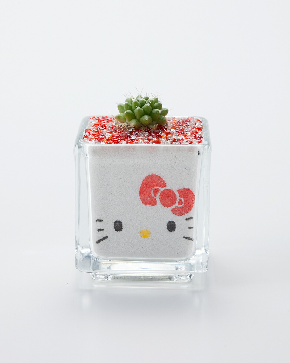 楽天市場】【ハローキティサボテン3種】 プレゼント ギフト メッセージ