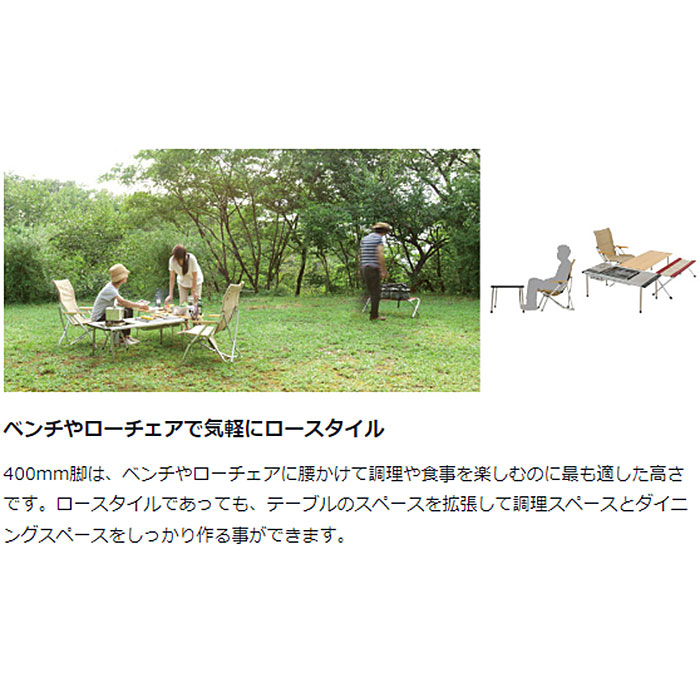 楽天市場】スノーピーク 野遊びセット2024 IGTロースタイルセット FK