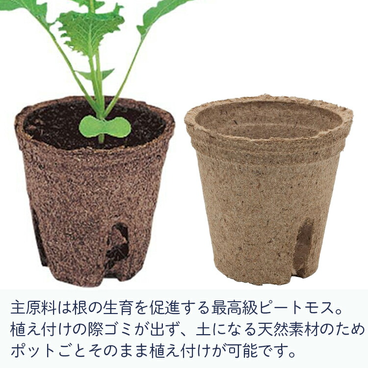 楽天市場】サカタ 育苗ポット 天然素材 ジフィーポット 5.5cm 丸 40個