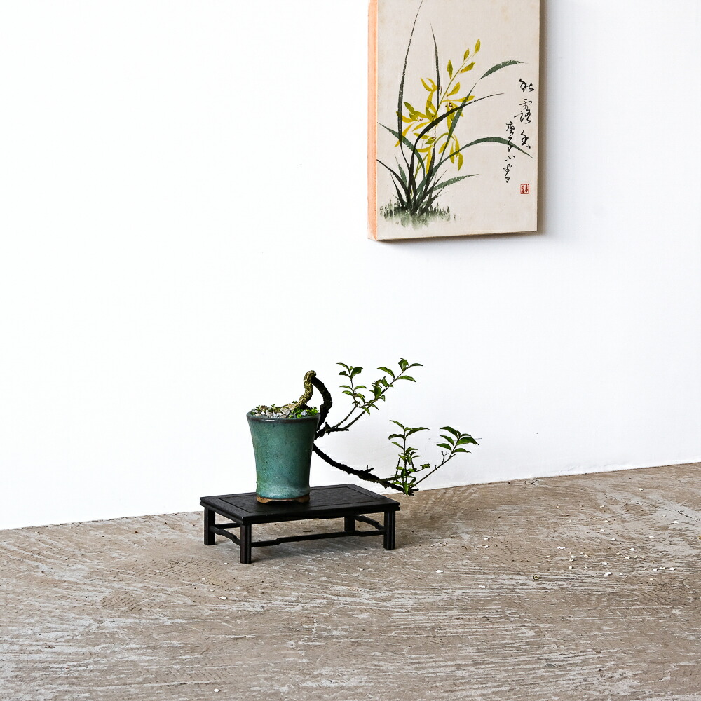 楽天市場】高品質 梅花小品花スタンド 盆景ディスプレイラック 小型