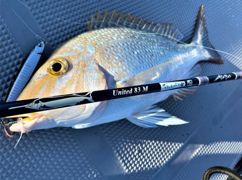 楽天市場】ツララ MMA ユナイテッド 100MH スピニングモデル 4ピース