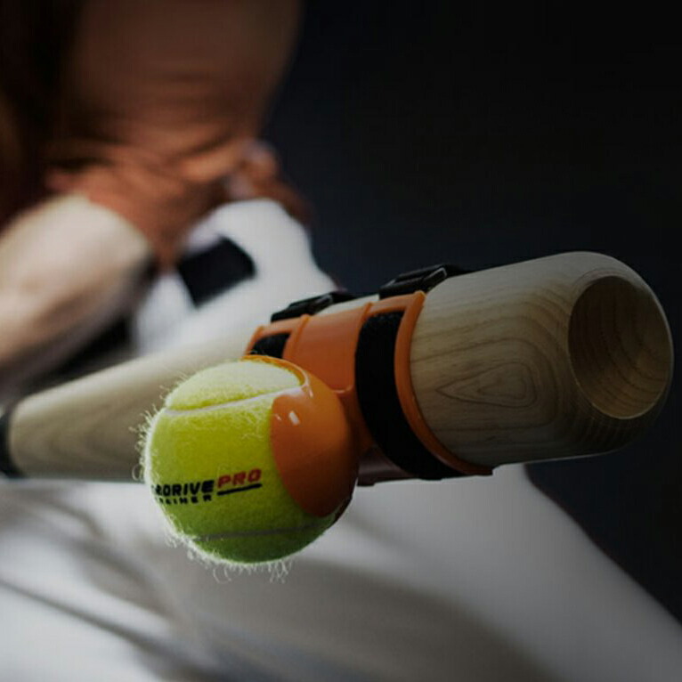 楽天市場】野球 打撃練習アイテム ラインドライブプロトレーナー