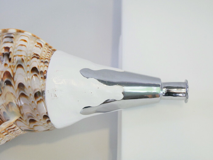 楽天市場】法螺貝・歌口付 サイズ44cm-46cm 真言タイプ : 和楽器総合