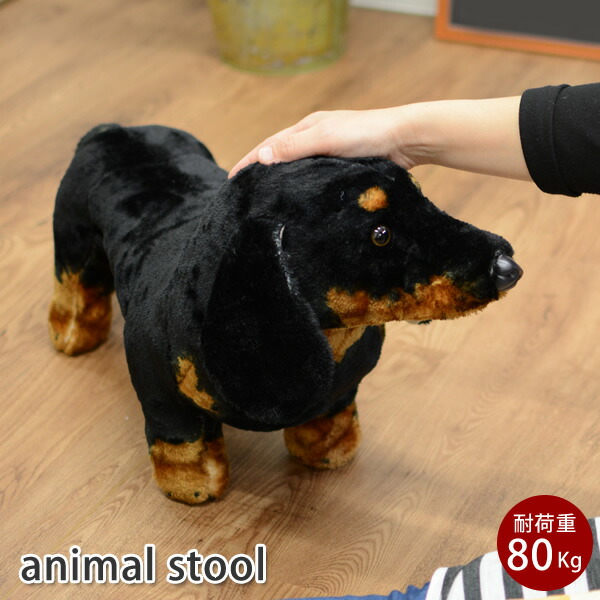 楽天市場】※ラッピング不可※ダックスフント ドッグ 座れる 乗れる