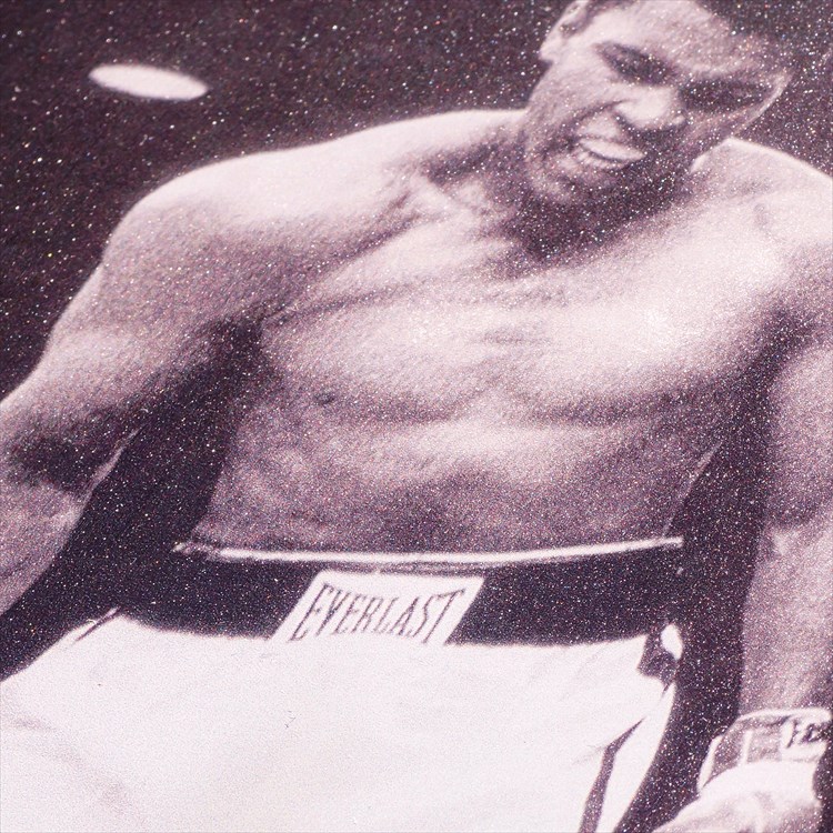 楽天市場】絵画 インテリア ボクシング看板 ブリキ看板 モハメドアリ