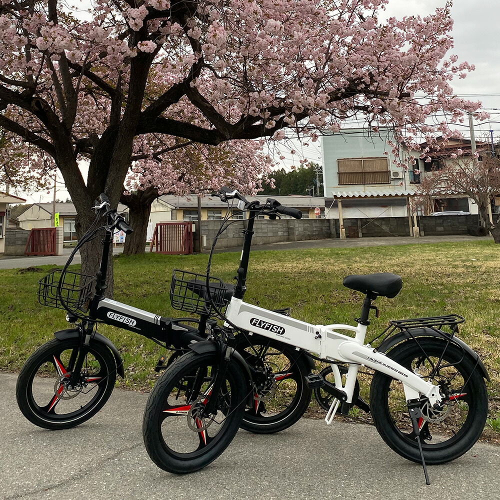 楽天市場】2024年モデル 折りたたみ電動アシスト自転車 20インチ 電動