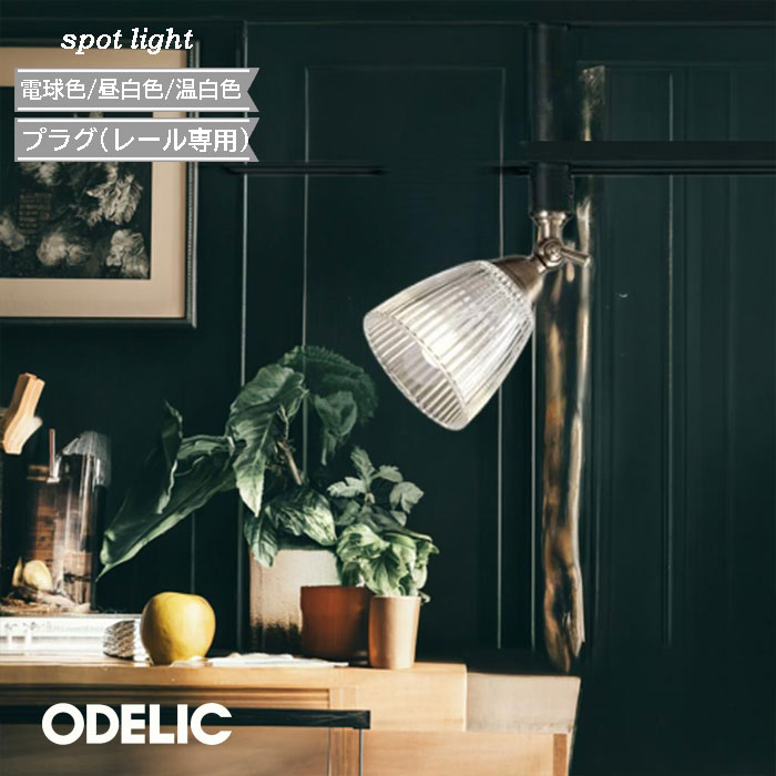楽天市場】スポットライト ダクトレール オーデリック レトロ ガラス