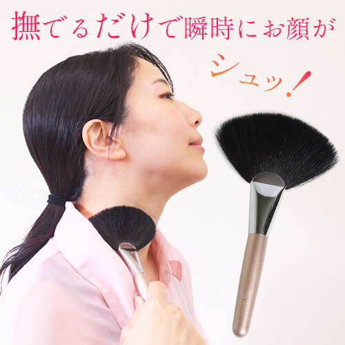 楽天市場】さとう式 フェイシャルブラシ【ポイント2倍☆3/4 10:00～3