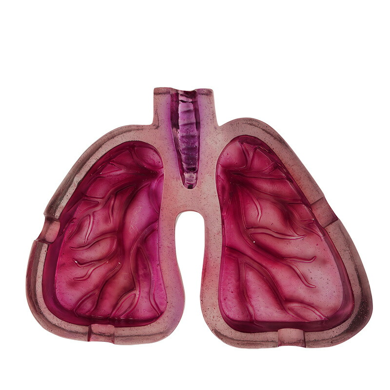 楽天市場】おもしろ灰皿 肺の灰皿 おもしろグッズ ジョークグッズ