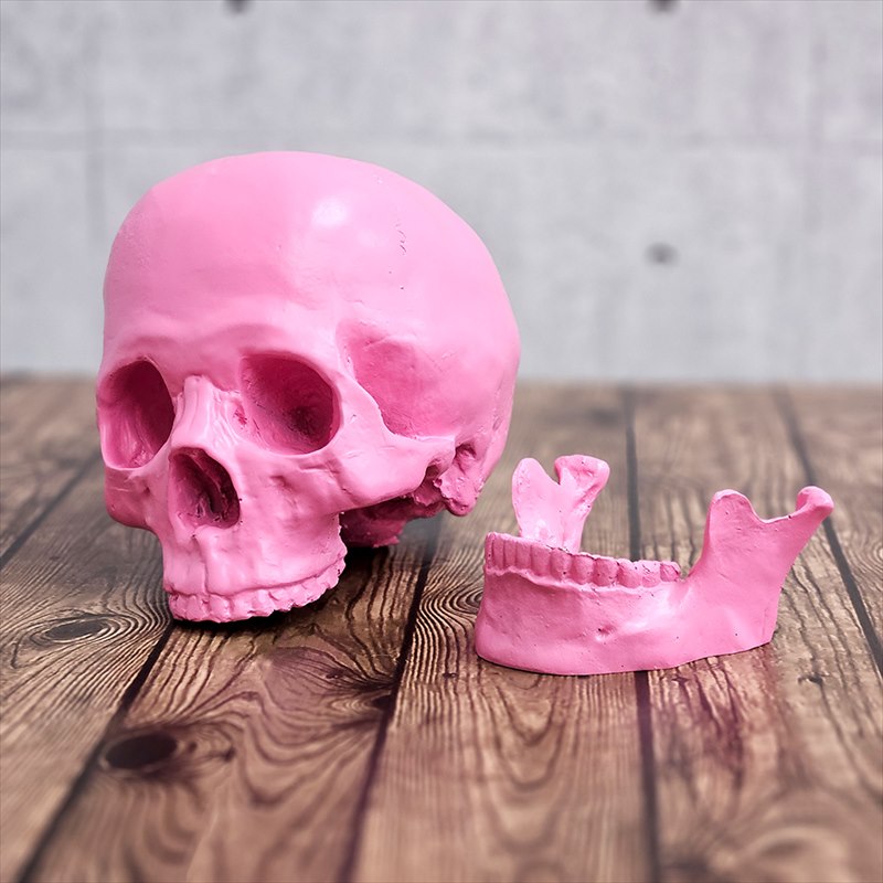 楽天市場】ガイコツ 置物 ドクロ 置物 スカル オブジェ スカルヘッド