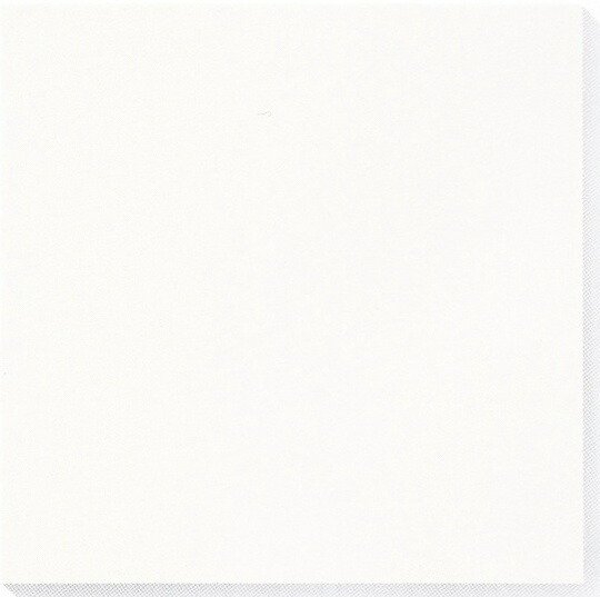 楽天市場】大理石 タソスホワイト 白 磨き 300角（30センチ） 規格