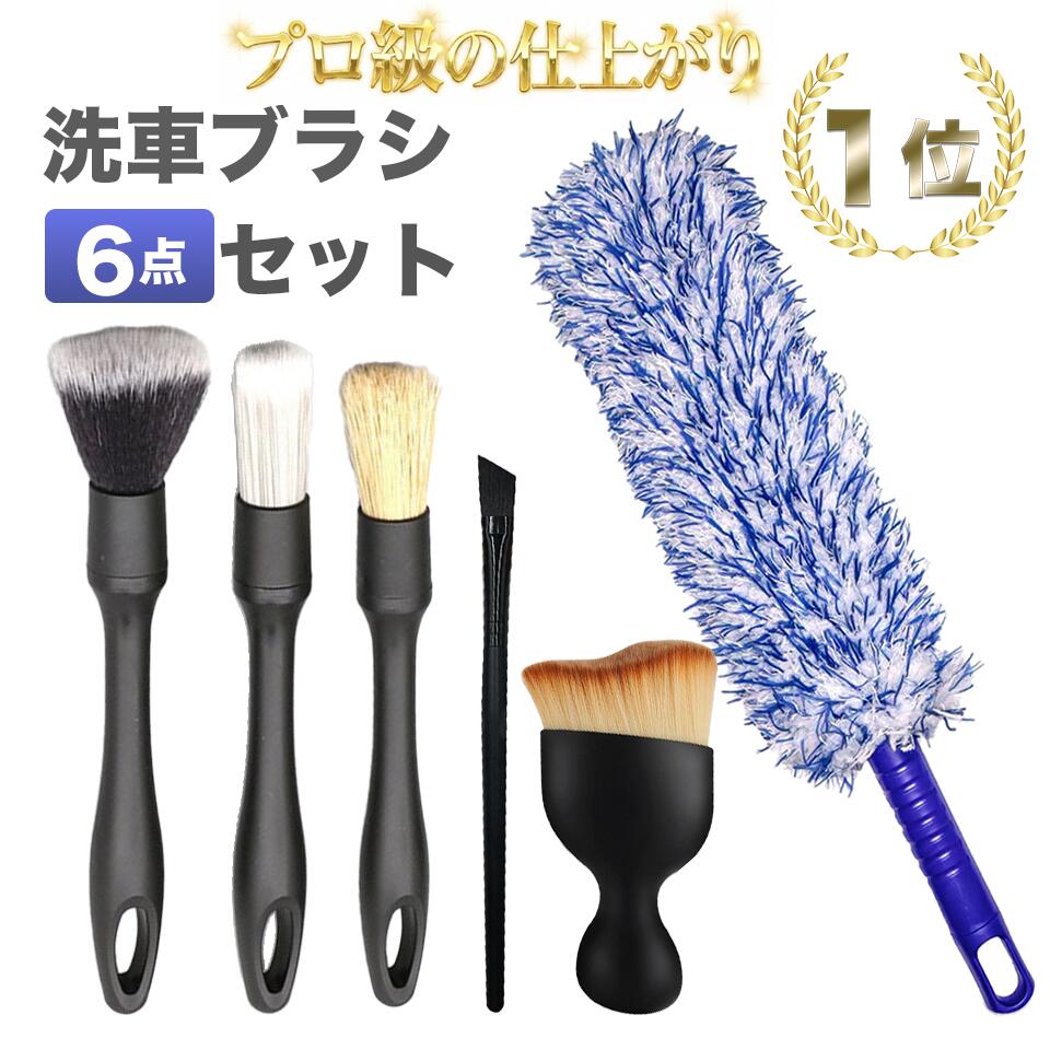 コースタルセンツ レザーブラシセット Amazon.co.jp: プレミアム馬毛
