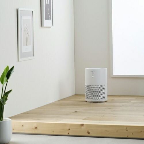 楽天市場】アイリスオーヤマ Iris Ohyama KAP-S202-W ホワイト 単機能