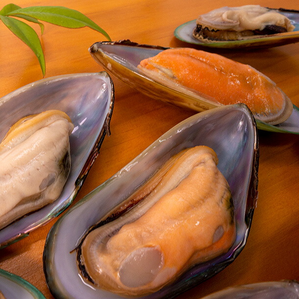 楽天市場】パーナ貝(グリーンシェルマッセル) 片貝13〜25粒入り 500g