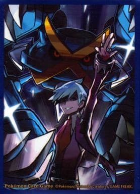 楽天市場】ポケモンカード デッキシールドプレミアム ダイゴ＆メガ