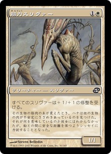 楽天市場】スリヴァー mtgの通販