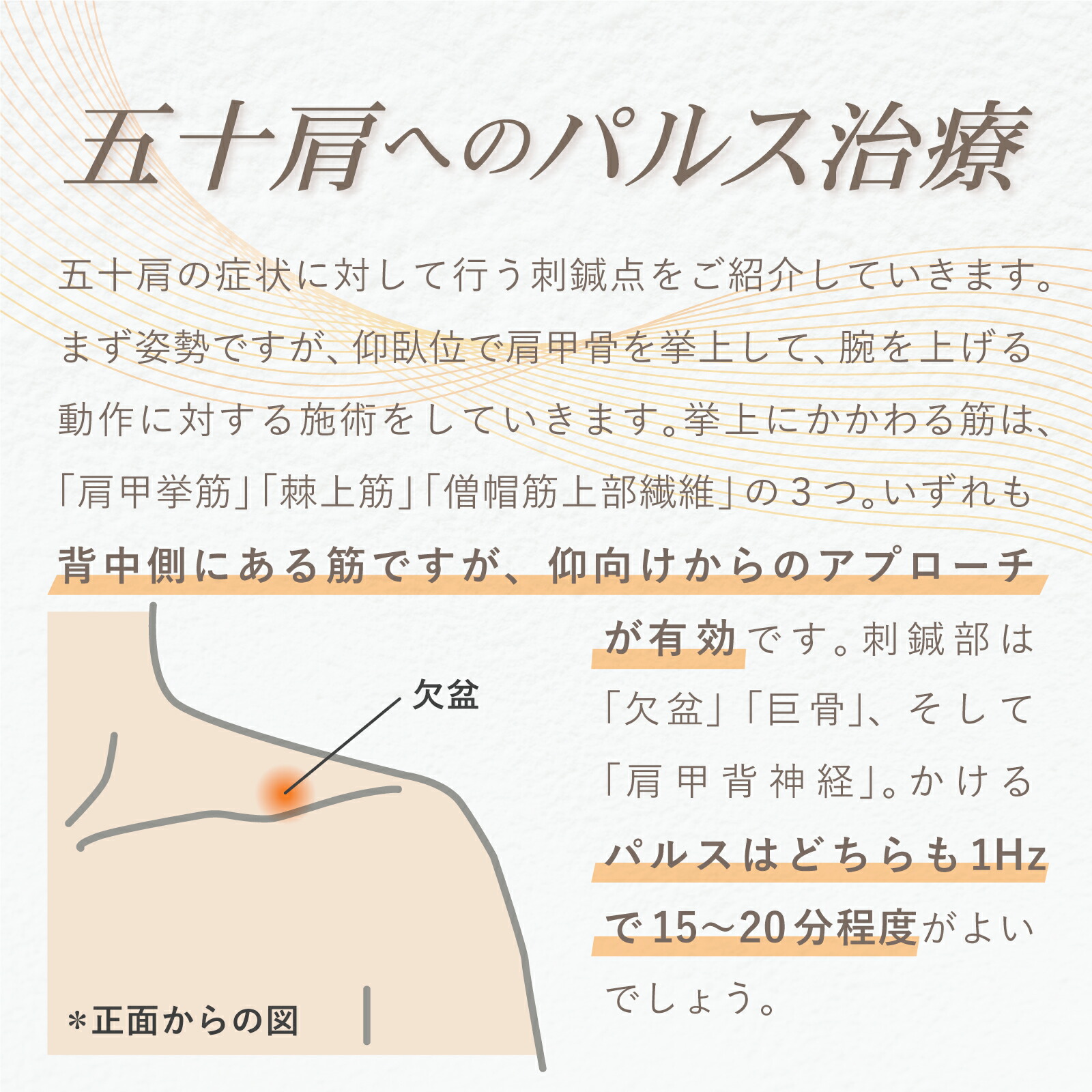 楽天市場】【2台セット】鍼電極低周波治療器 PULSMA8s（パルスマ8s