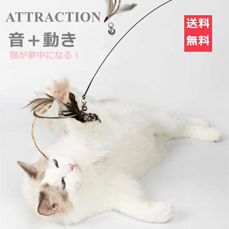 楽天市場】【楽天スーパーSALE＆赤字覚悟本日限定⇒1080円】猫おもちゃ