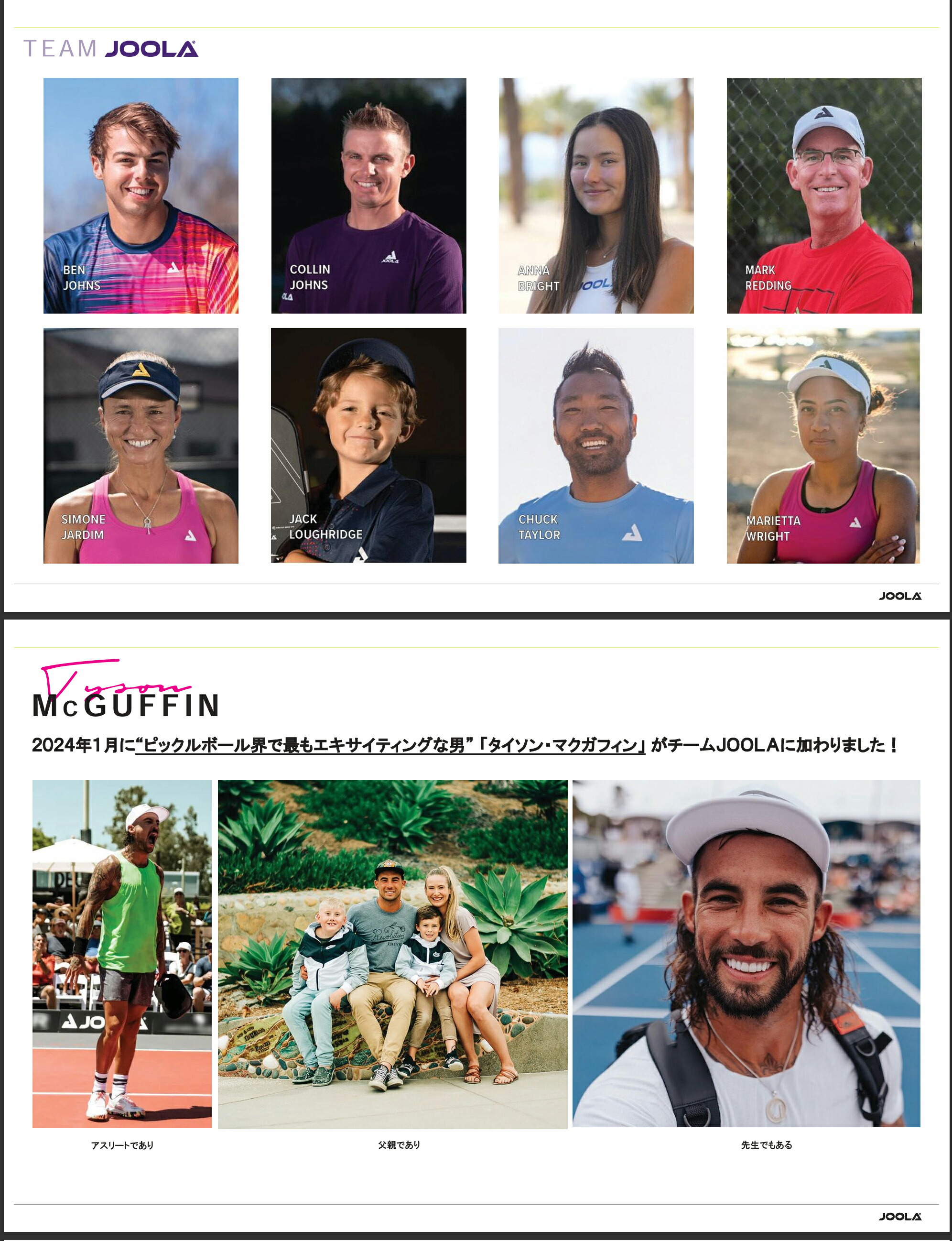 楽天市場】□送料無料□◇JOOLA PICKLE BALL◇[ヨーラピックルボール