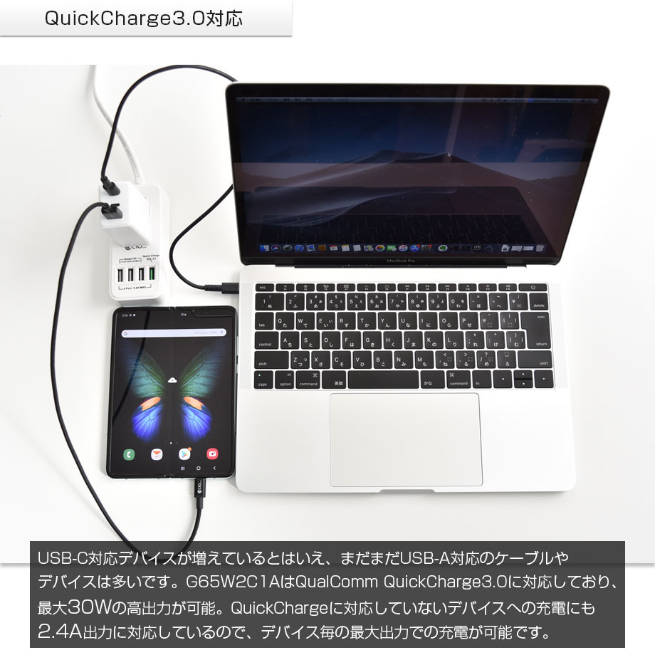 楽天市場】☆ アウトレット ☆ CIO GaN 65W 充電器 ホワイト ACプラグ