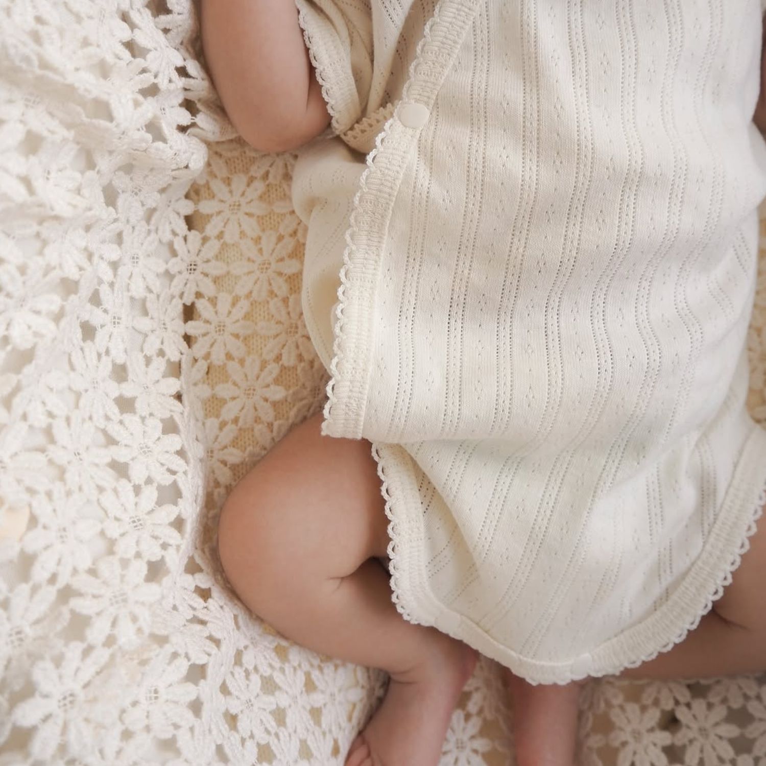 楽天市場】【3/10 11時頃再入荷】【1点までネコポス可】garden flower