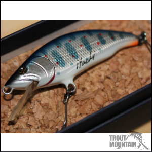 itachi minnow イタチミノー 楽天市場】 ハンドメイドルアー > itachiミノー（イタチミノー