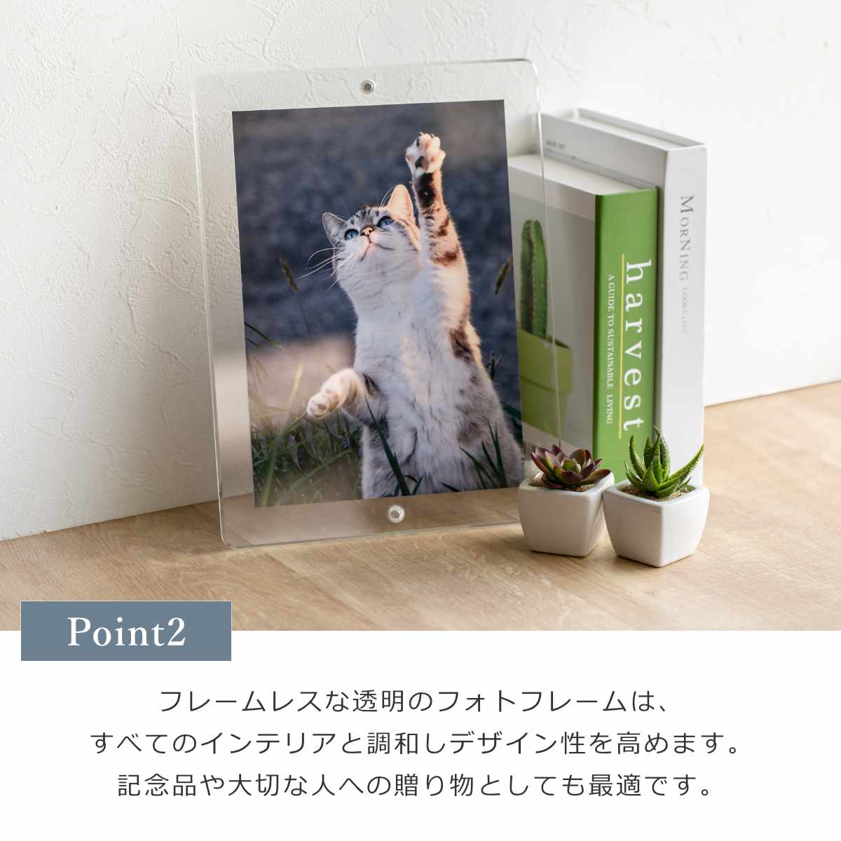 楽天市場】【日本製】 マグパチ フォトフレーム B5サイズ スタンド付き