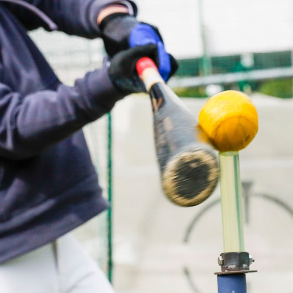 楽天市場】【即日発送可】SAKUGOE サクゴエ PUT式 強打者を育てる