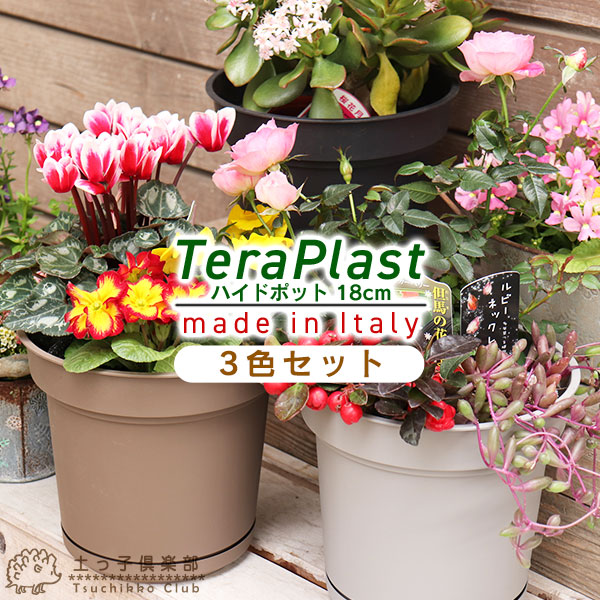 楽天市場】植木鉢 『 ハイドポット 』 18cm 貯水機能受皿付【3色セット