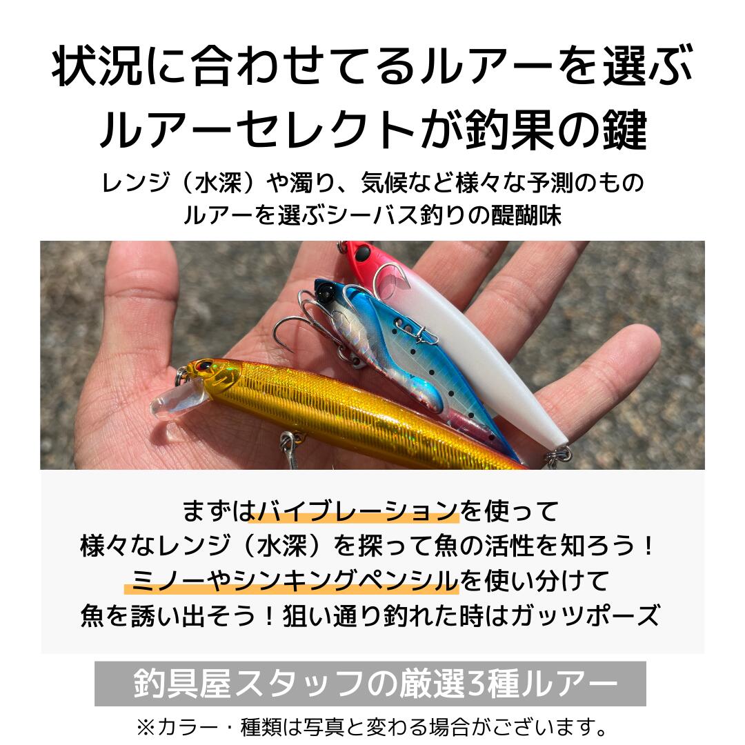 楽天市場】シーバス入門オールインワンセットPEシーバスロッド＋リール