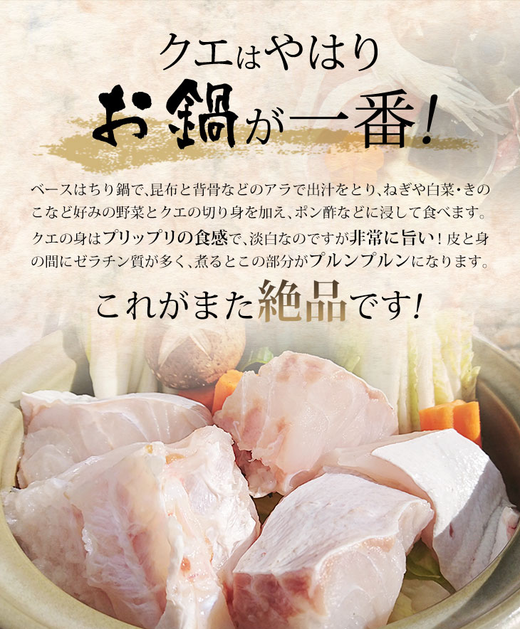 楽天市場】【送料無料】幻の魚 クエ鍋セット タップリの1.2kg クエ鍋用