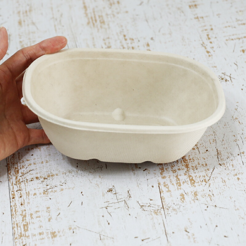 楽天市場】☆500円クーポンあり☆ 'Sabert セイバート バガス 再生紙製