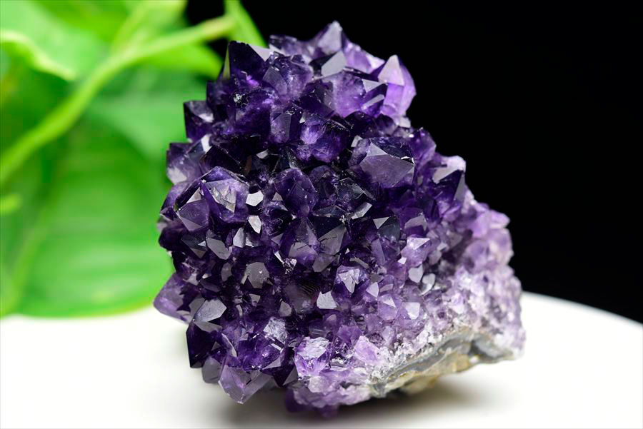 楽天市場】フラワー アメジスト クラスター 原石 ◇ウルグアイ