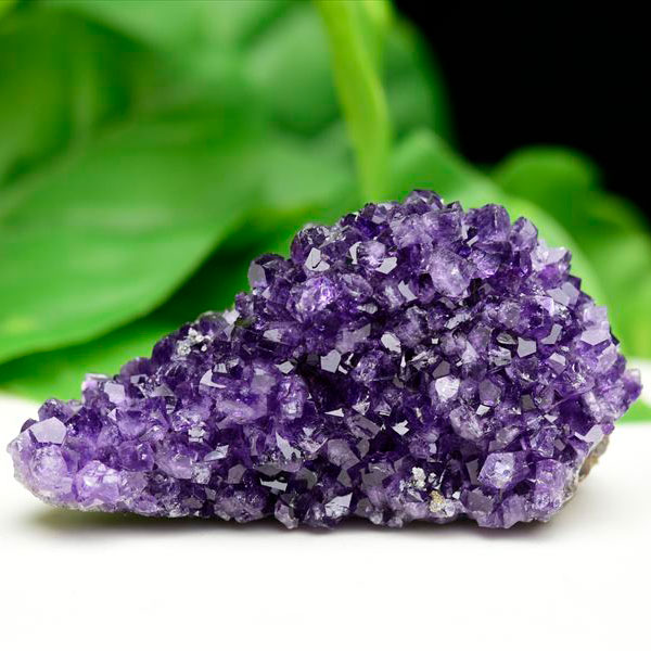 楽天市場】フラワー アメジスト クラスター 原石 ◇ウルグアイ