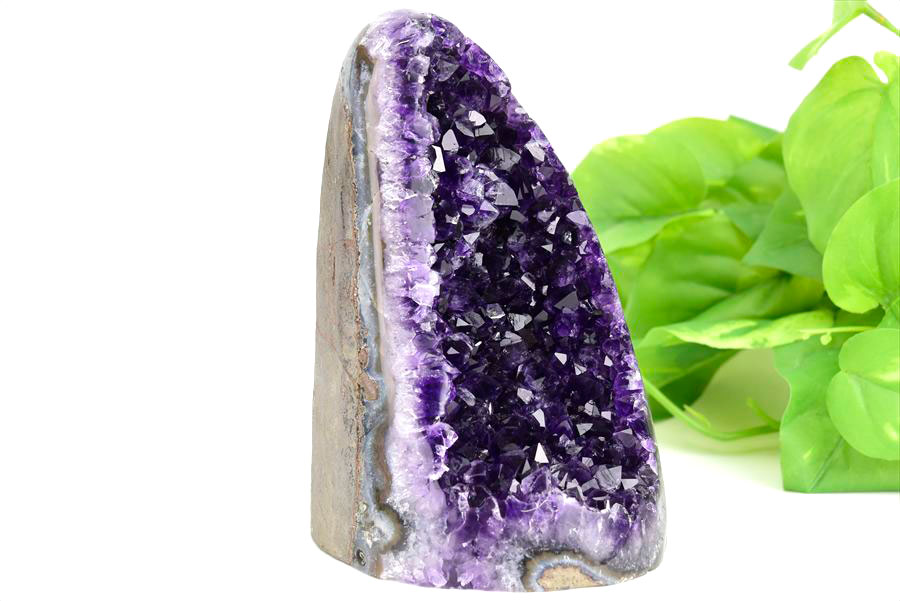 楽天市場】アメジスト クラスター カットベース 原石 ◇ウルグアイ