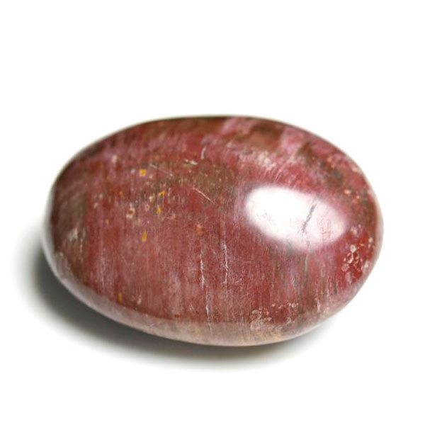 木 化石 ペトリファイドウッド」の人気商品一覧 | 安い商品を通販