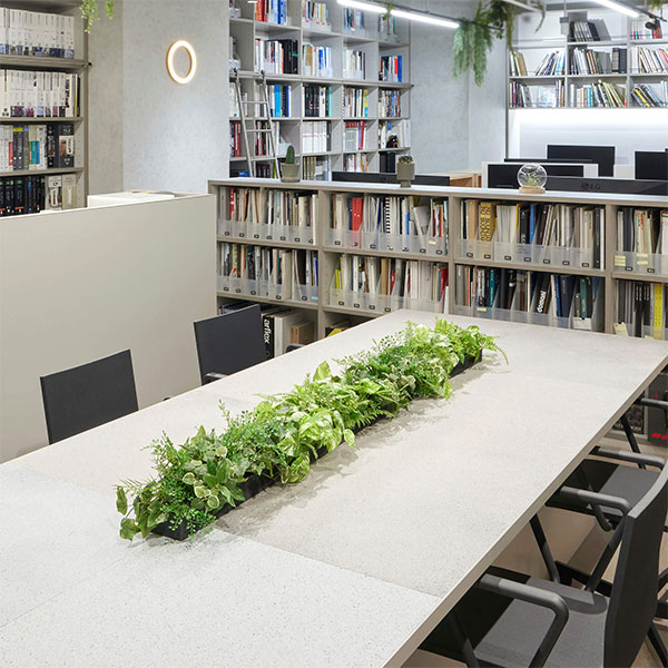 楽天市場】最大100%ポイントバック フェイクグリーン 観葉植物 人工